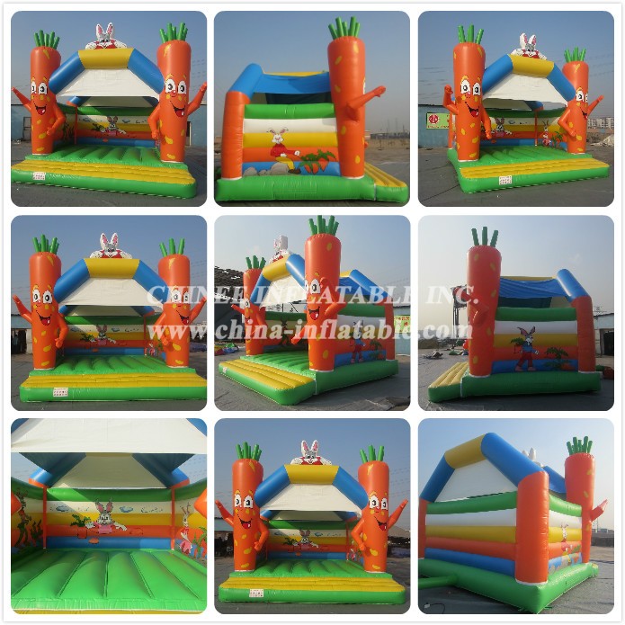 a - Chinee Inflatable Inc.